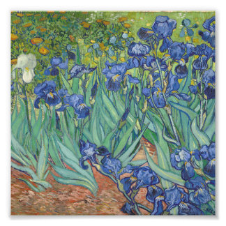 Vincent Van Gogh - Ire Fotodruck
