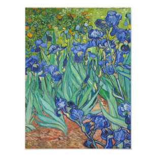 Vincent Van Gogh - Ire Fotodruck