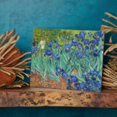 Vincent Van Gogh - Ire Fotoplatte (Seite)