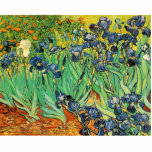 Vincent van Gogh, Ire Freistehende Fotoskulptur<br><div class="desc">Vincent van Gogh,  Ire</div>