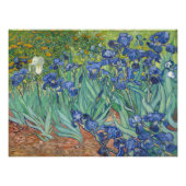 Vincent Van Gogh, Ire, Les Iris Fotodruck (Vorne)