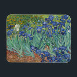 Vincent Van Gogh, Ire, Les Iris Magnet<br><div class="desc">Vincent Van Gogh - Ire, Les Iris, 1889.</div>