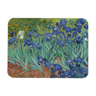 Vincent Van Gogh, Ire, Les Iris Magnet