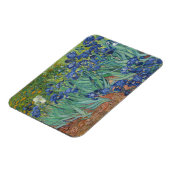 Vincent Van Gogh, Ire, Les Iris Magnet (Linke Seite)