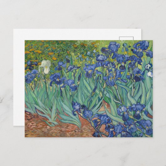 Vincent Van Gogh, Ire, Les Iris Postkarte (Vorne/Hinten)