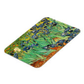 Vincent van Gogh, Ire Magnet (Linke Seite)