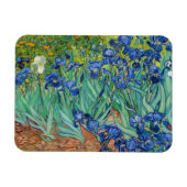 Vincent Van Gogh - Ire Magnet (Horizontal)