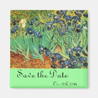 Vincent van Gogh, Ire