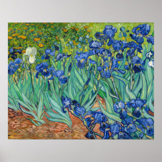 Vincent Van Gogh - Ire Poster