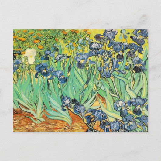 Vincent Van Gogh - Ire Postkarte (Vorderseite)