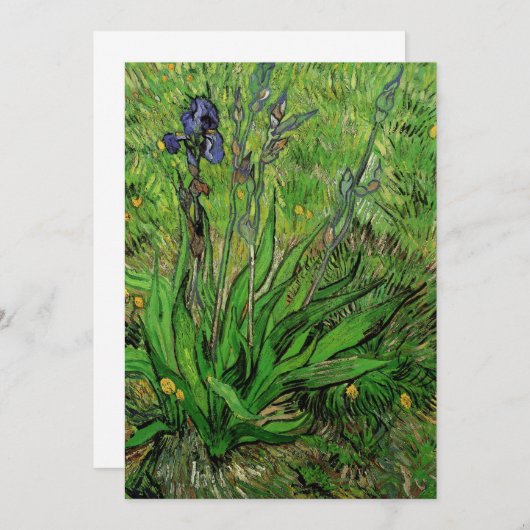 Vincent van Gogh - Iris (Vorne/Hinten)