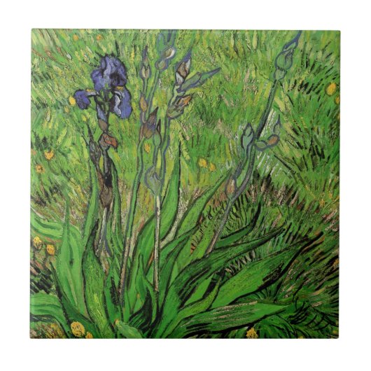 Vincent van Gogh - Iris Fliese (Vorderseite)