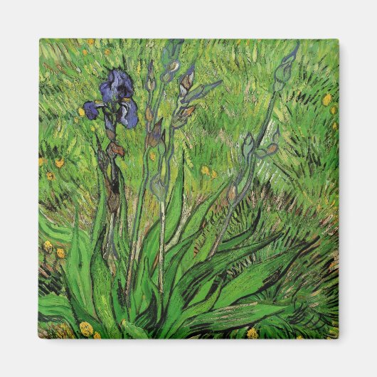 Vincent van Gogh - Iris Magnet (Vorne)