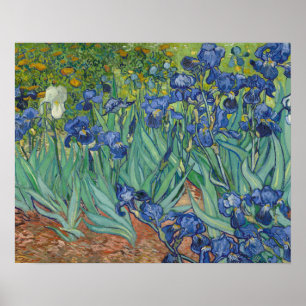 Vincent van Gogh - Iris Poster