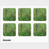 Vincent van Gogh - Iris Quadratischer Aufkleber (Blatt)