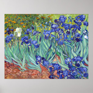 Vincent van Gogh Irisch Poster
