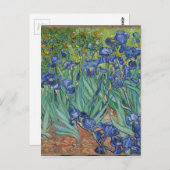 Vincent Van Gogh Irises Malerei Blume Kunstwerk Postkarte (Vorne/Hinten)