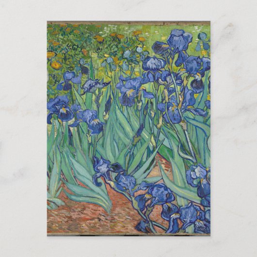 Vincent Van Gogh Irises Malerei Blume Kunstwerk Postkarte (Vorderseite)
