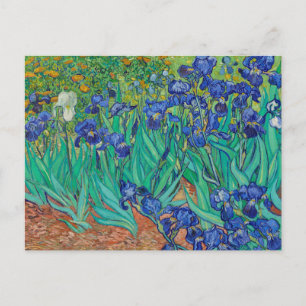 Vincent van Gogh Irises Painting Postcard Postkarte