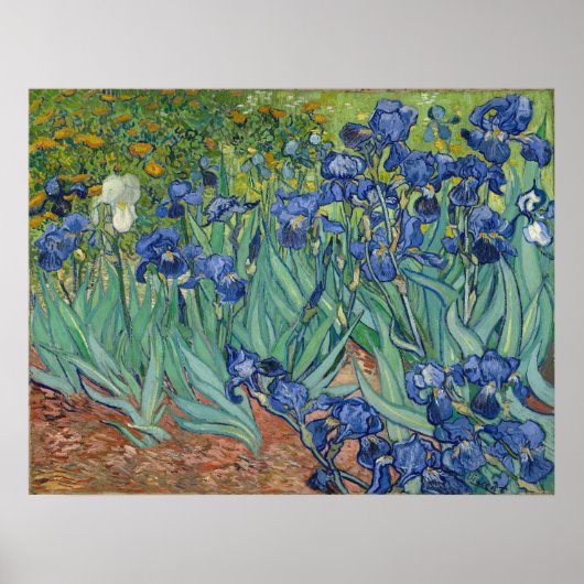 Vincent Van Gogh Irises Poster (Vorne)
