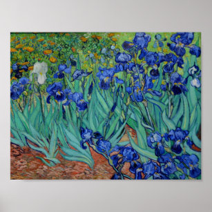 Vincent Van Gogh Irises Vibrant Flower Fine Art Poster
