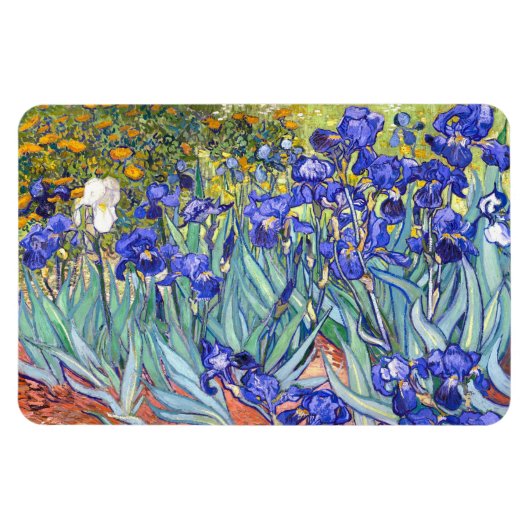 Vincent Van Gogh Irises Vintag Fine Art Magnet (Horizontal)