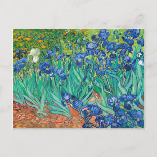 Vincent Van Gogh Irises Vintag Fine Art Postkarte