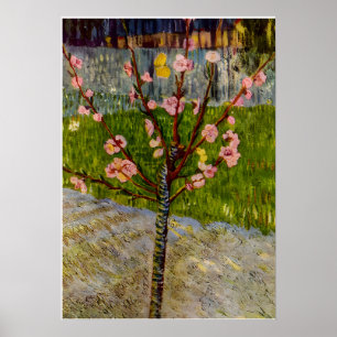Vincent Van Gogh Kunst Poster