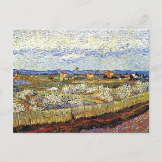 Vincent Van Gogh - La Crau mit Pfirsichbäumen Postkarte (Vorderseite)