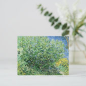 Vincent Van Gogh - Lilacs Postkarte (Stehend Vorderseite)