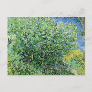 Vincent Van Gogh - Lilacs Postkarte