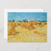 Vincent Van Gogh, Maisernte in der Provence Postkarte (Vorne/Hinten)