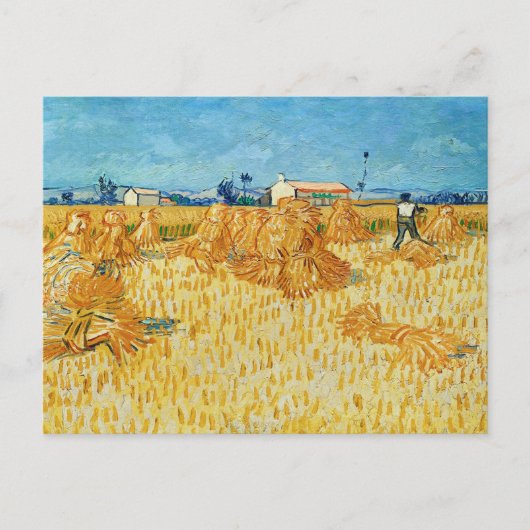 Vincent Van Gogh, Maisernte in der Provence Postkarte (Vorderseite)