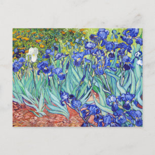 Vincent Van Gogh malt Irises Einladungspostkarte