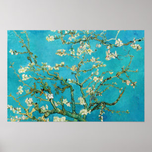 Vincent Van Gogh malte Mandelblüten Poster