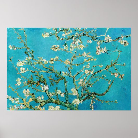 Vincent Van Gogh malte Mandelblüten Poster (Vorne)