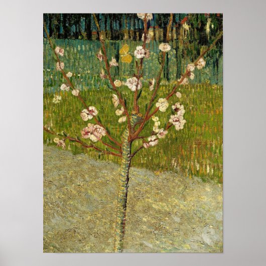 Vincent van Gogh - Mandelbaum in Blüte Poster (Vorne)
