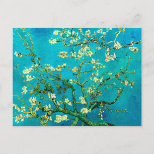 Vincent Van Gogh Mandelblüten Feine Kunst Postkarte