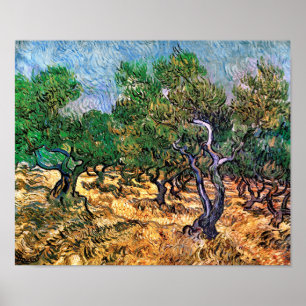 Vincent Van Gogh - Olive Grove Fine Art Poster