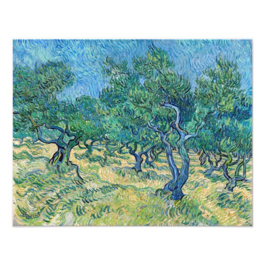 Vincent van Gogh - Olive Grove Fotodruck (Vorne)