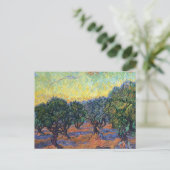 Vincent Van Gogh Olive Grove Impressionismus Art Postkarte (Stehend Vorderseite)