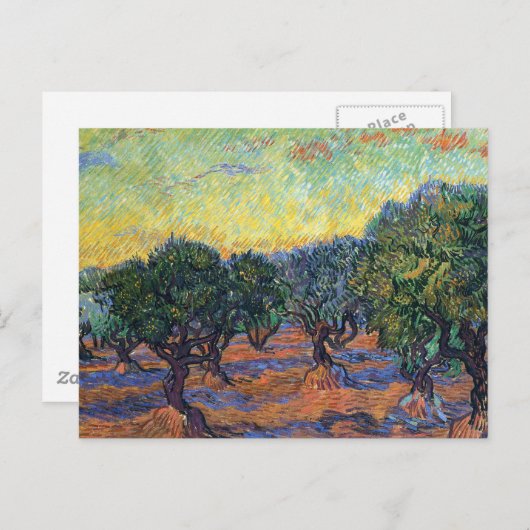 Vincent Van Gogh Olive Grove Impressionismus Art Postkarte (Vorne/Hinten)
