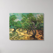 Vincent van Gogh - Olive Grove Leinwanddruck (Vorderseite)