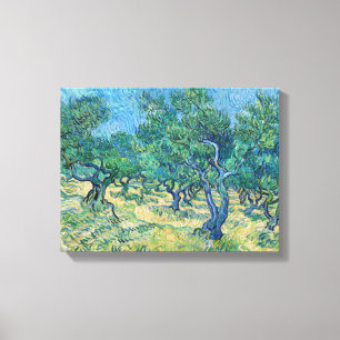 Vincent van Gogh - Olive Grove Leinwanddruck