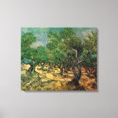 Vincent van Gogh - Olive Grove Leinwanddruck (Vorderseite)