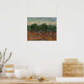 Vincent van Gogh - Olive Grove Poster (Küche)