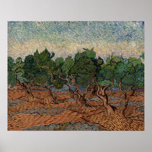 Vincent van Gogh - Olive Grove Poster (Vorne)