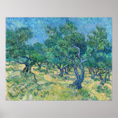 Vincent van Gogh - Olive Grove Poster (Vorne)