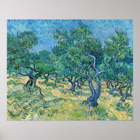 Vincent van Gogh - Olive Grove Poster (Vorne)