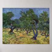 Vincent van Gogh - Olive Grove Poster (Vorne)